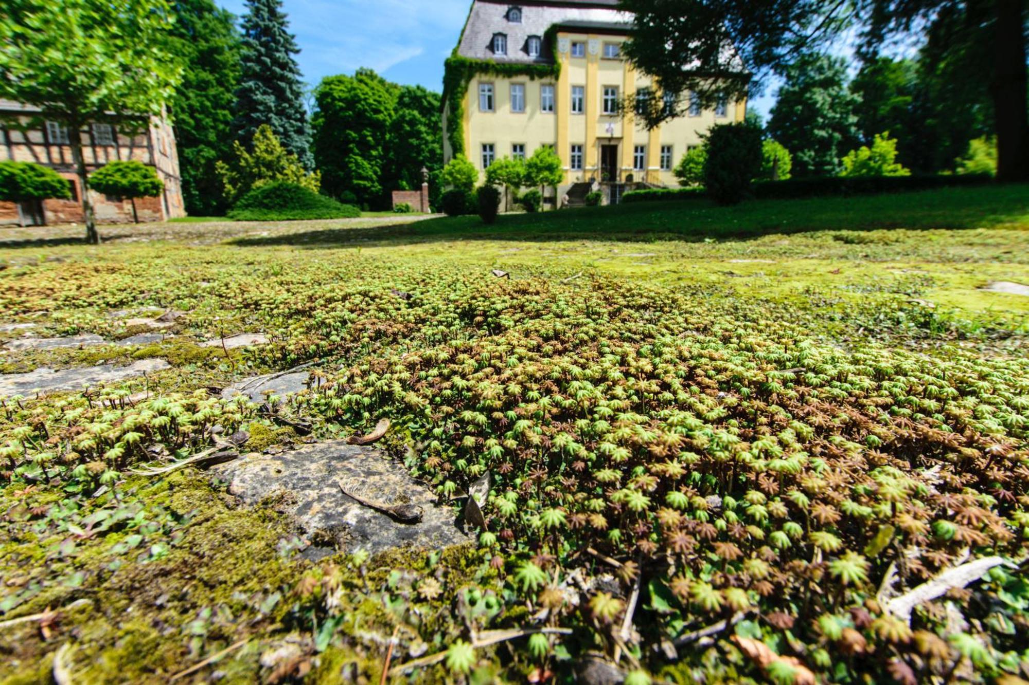 Rittergut/gutshaus Großgestewitz Apartment